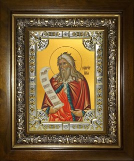 Икона Илия (Илья) пророк, в киоте 24х30 см 26294