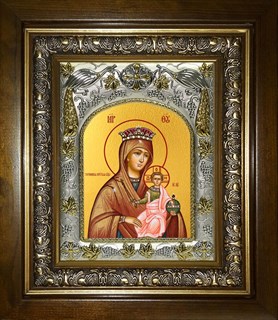 Икона Тотемская икона Божией Матери, в киоте 20х24 см 26685