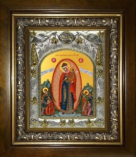 Икона Всех скорбящих Радость икона Божией Матери, в киоте 20х24 см 26705