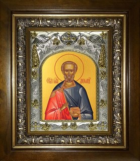 Икона Диомид Тарсянин Никейский, врач, мученик, в киоте 20х24 см 26715