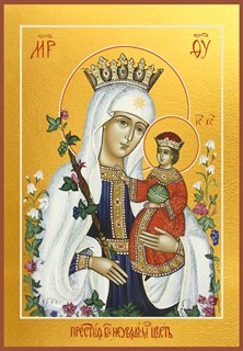 Неувядаемый цвет, икона Божией Матери 26774