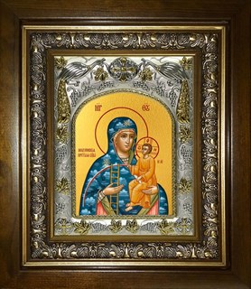 Икона Молченская икона Божией Матери, в киоте 20х24 см 27290