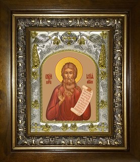 Икона Илия (Илья) Египетский, в киоте 20х24 см 27683