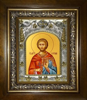 Икона Евгений Севастийский мученик, в киоте 20х24 см 27754