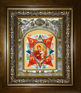 Икона Неопалимая Купина, икона Божией Матери, в киоте 20х24 см 27840