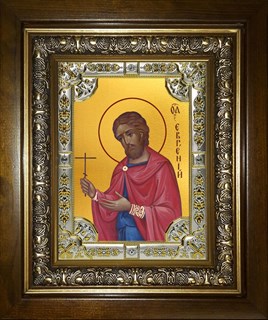 Икона Евгений Севастийский мученик, в киоте 24х30 см 27883