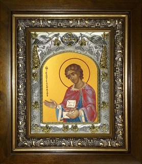 Икона Пантелеймон великомученик и целитель, в киоте 20х24 см 28022