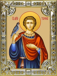 Икона Трифон мученик, 18х24 см, со стразами 28184