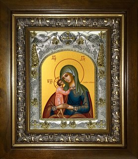 Икона Взыскание погибших ,икона Божией Матери, в киоте 20х24 см 28204
