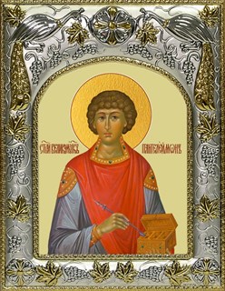 Икона Пантелеймон великомученик и целитель, 14х18 см 28223