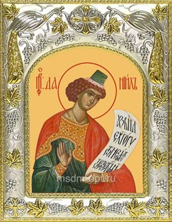 Икона Даниил пророк , 14х18 см 28229