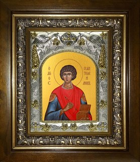Икона Пантелеймон великомученик и целитель, в киоте 20х24 см 28291