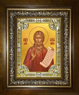 Икона Илия (Илья) Египетский, в киоте 24х30 см 28324