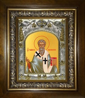 Икона Тимофей, епископ Проконесский, Cвятитель, в киоте 20х24 см 28726