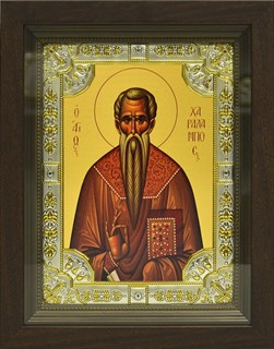 Икона Харлампий священномученик, в киоте 24х30 см 28759