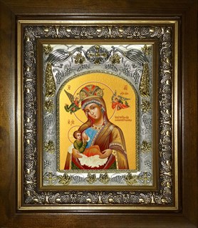 Икона Млекопитательница, икона Божией Матери, в киоте 20х24 см 29099