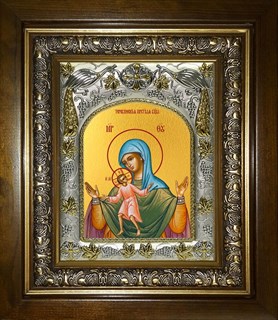 Икона Теребенская (Теребинская) икона Божией Матери, в киоте 20х24 см 29200