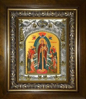 Икона Всех скорбящих Радость икона Божией Матери, в киоте 20х24 см 29272