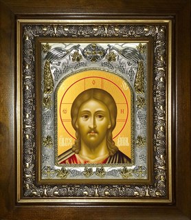 Икона Господь Вседержитель, в киоте 20х24 см 29359