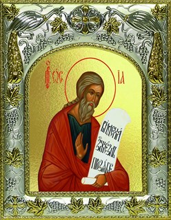 Икона Осия пророк, 14х18 см 29389