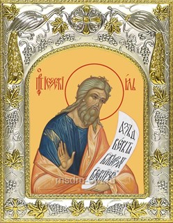 Икона Иезекииль пророк, 14х18 см 29743