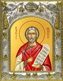 Икона Назарий Медиоланский, 14х18 см 29920