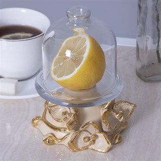 {{photo.Alt || photo.Description || 'Лимонница Орхидея Лайм Айвори'}}