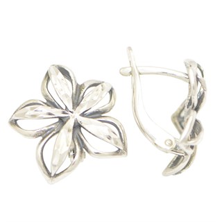 {{photo.Alt || photo.Description || 'Серьги серебряные 3.18 гр.'}}