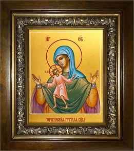 Теребенская (Теребинская) икона Божией Матери 14х18 в киоте 20х24 km_25_679