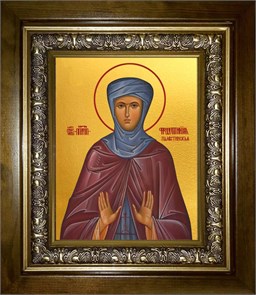 Фотиния (Светлана) Палестинская, преподобная 14х18 в киоте 20х24 km_25_1309