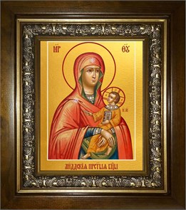 Лиддская икона Божией Матери 18х24 в киоте 24х30 km_25_2003