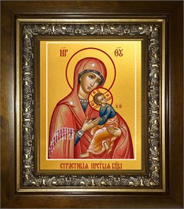 Страстная икона Божией Матери 18х24 в киоте 24х30 km_25_2028