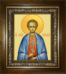 Виталий Александрийский преподобный 18х24 в киоте 24х30 km_25_2129