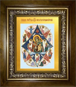 Неопалимая Купина икона Божией Матери 14х18 в киоте 20х24 km_25_133