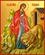 Икона Татьяна (Татиана) мученица 25759 - фото 39413