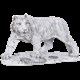 Крадущийся Тигр Белый Bo22680_3427
