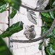 Кронштейн для цветов Птичка Терра Ливз Айс Bo79031_3746