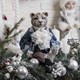 Коллекционная кукла Тигр Луи Bo76134_3867 - фото 69105
