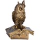 Статуэтка Ученый Филин Бронза Bo22139_476