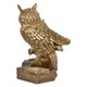Статуэтка Ученый Филин 20 см Бронза Bo22378_477