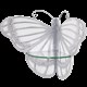 Полочка Бабочка Сафо Айс Bo11631_3850