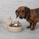 Подставка Лакшери Дог Айвори Bo75108_4234