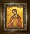 В родах Помощница, икона Божией Матери 14х18 в киоте 20х24 km_25_588