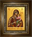 Далматская икона Божией Матери 14х18 в киоте 20х24 km_25_612