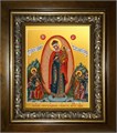 Всех скорбящих Радость, икона Божией Матери 18х24 в киоте 24х30 km_25_1974