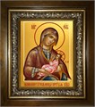 Млекопитательница, икона Божией Матери 18х24 в киоте 24х30 km_25_2008